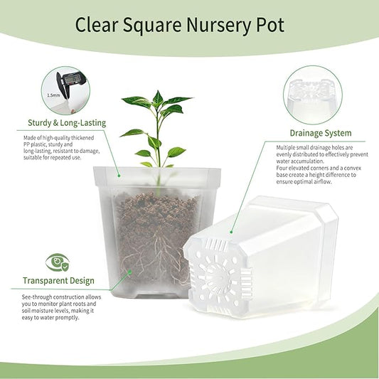Clear Nursery Pots with Drainage, Square Plastic Plant Pots, 3 Inch Clear Seed Starter Flower Pots, 30 Pcs Small Pots for Seedling
