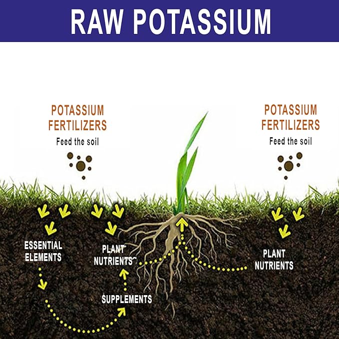 RAW Potassium 2 lb