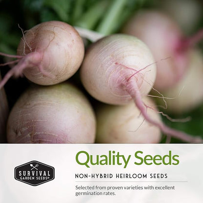 Radish Seeds Variety Pack – 5 Packets | Heirloom Non-GMO Radishes for Planting: Daikon, Watermelon, Purple Plum, French Breakfast & Champion – Survival Garden Seeds