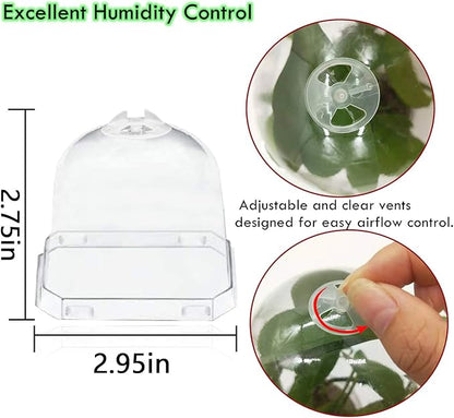 Purple Star 1N 30 PCS Plant Nursery Pots with Humidity Dome-Gardening Pots Small-Square Planting Containers Cups for Succulents Seedlings Cuttings Transplanting (30 PCS-S)