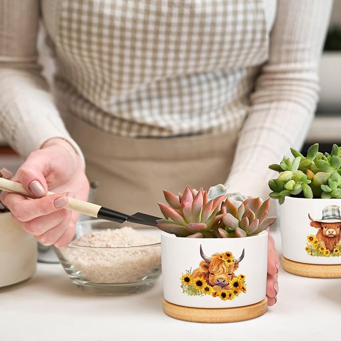 6Pcs Highland Cow Decor Gift Planter Rustic Cow Sunflower Ceramic Succulent Pots Animal Plant with Tray Appreciation Gift for Farmhouse Home Office Kitchen Bathroom, No Plants
