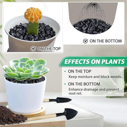 Succulent Rocks for Plants Tiny Pebbles for Planters 2.8LB Pea Gravel Bulk Course Sand Soil Small Decorative Stones for Indoor Bonsai Pots Cactus Top Dressing Aquarium Garden Landscape, Black