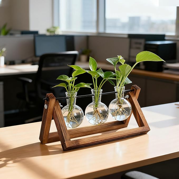 Plant Propagation Stations with Wooden Stand & 3 Glass Bulb Vases - Plant Terrarium for Indoor Plants, Home Office Desk Decor, Gardening Gifts for Women Mom, Birthday Gifts for Plants Lovers