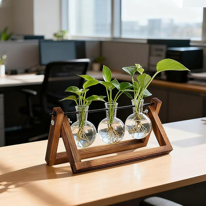 Plant Propagation Stations with Wooden Stand & 3 Glass Bulb Vases - Plant Terrarium for Indoor Plants, Home Office Desk Decor, Gardening Gifts for Women Mom, Birthday Gifts for Plants Lovers
