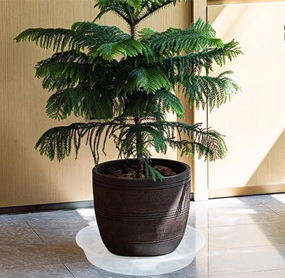 6 Pack of 12 inch Plant Saucer, Plastic Plant Saucer 12" Round, Plant Saucers for Indoors, Plant Water Tray, Plant Trays for Pots, Planter Tray, Plant Saucers for Planter 11-13" (12", Clear)
