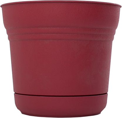 Bloem SP0512 Saturn Planter, 5-Inch, Union Red