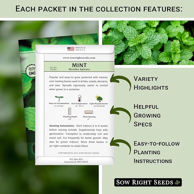 Sow Right Seeds - Mint Garden Seed Collection - Includes Common Mint, Catmint, Peppermint & More - Popular Non-GMO Heirloom Varieties for Planting Indoors or Outdoors - Herbal Teas, Drinks & Desserts