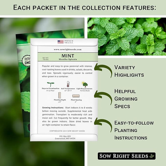Sow Right Seeds - Mint Garden Seed Collection - Includes Common Mint, Catmint, Peppermint & More - Popular Non-GMO Heirloom Varieties for Planting Indoors or Outdoors - Herbal Teas, Drinks & Desserts