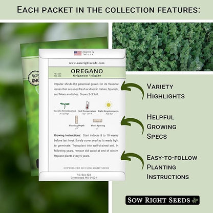 Sow Right Seeds - Hydroponic Herb Seeds for Planting - Basil, Thyme, Cilantro, Parsley & Oregano Seeds for Planting and Growing a Hydroponic Garden Indoors - Perfect for Your Growing Tower or System