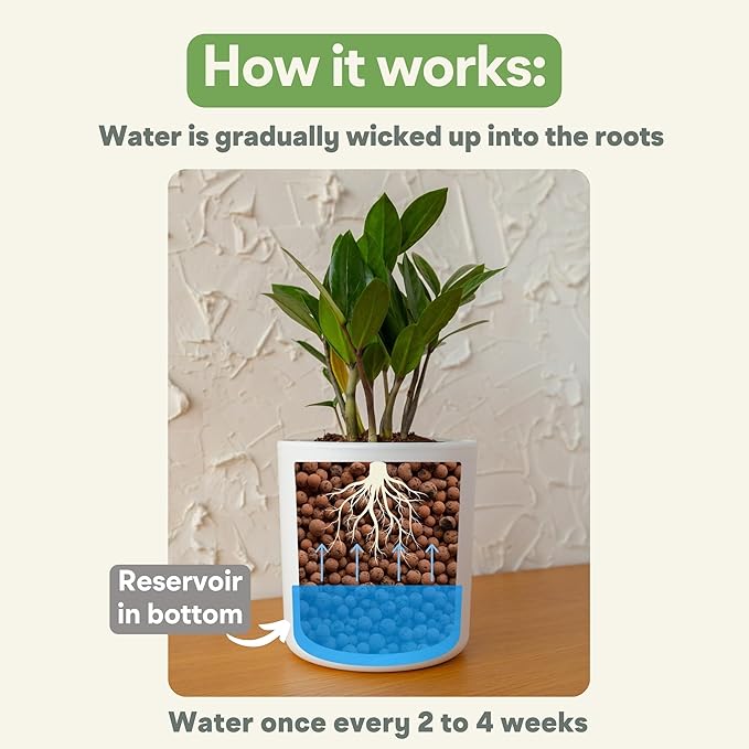 Self Watering Pot for Leca and Pon, Semi Hydroponic Planter for Indoor Plants, Clear Inner Pot & Water Level Indicator (Cream (4-Pack), 4 inch)