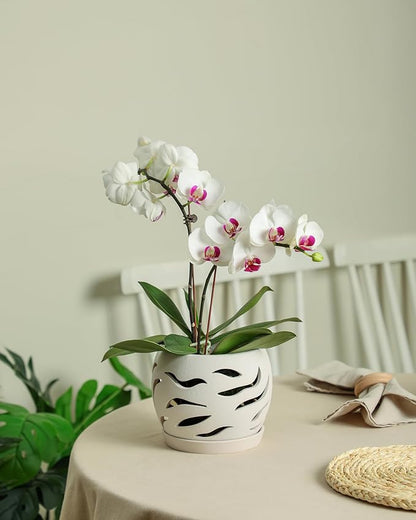 Ceramic Orchid Pot with Holes & Saucers, 5.5 inch Plant pots for Indoor and Outdoor use, Wind-Worn Texture Cutout Promoting air Circulation and Drainage(Pots Only)