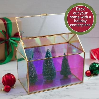 D'Eco Iridescent Glass House Centerpiece (10x6x8) - Table Planter Terrarium - Valentine's Day Home Decor & Wedding Letterbox - Fill with Succulents, Moss, Roses & Chocolates - Valentines Gift for Her