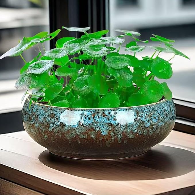Lotus Bowl Planter, Decorative Ceramic Plant Pots with Moisture-Multifunctional Design, Succulents Orchids Indoor Plants, Thickened Round Planter for Home Desk & Shelf Decor (Green)