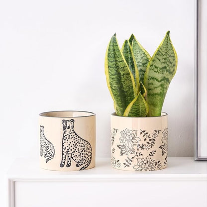 Indoor Ceramic Plant Pots with Drainage Holes 5 Inch Cute Succulent Flower Pots Small Orchid Planter Pots for Indoor Plants Garden Pots, Peony