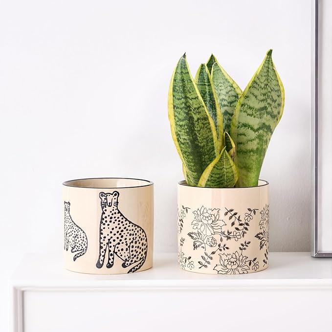 5 Inch Ceramic Planters for Indoor Plants, Funny Small Plant Pots with Drainage, Unique Decorative Cute Flower Pot Panthers Round Flowerpots