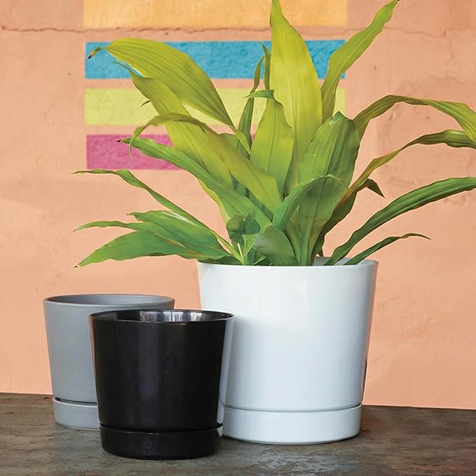 Root & Vessel Majestic Full Depth Round Cylinder Pot, Glossy Gray, 8-Inch (10080)