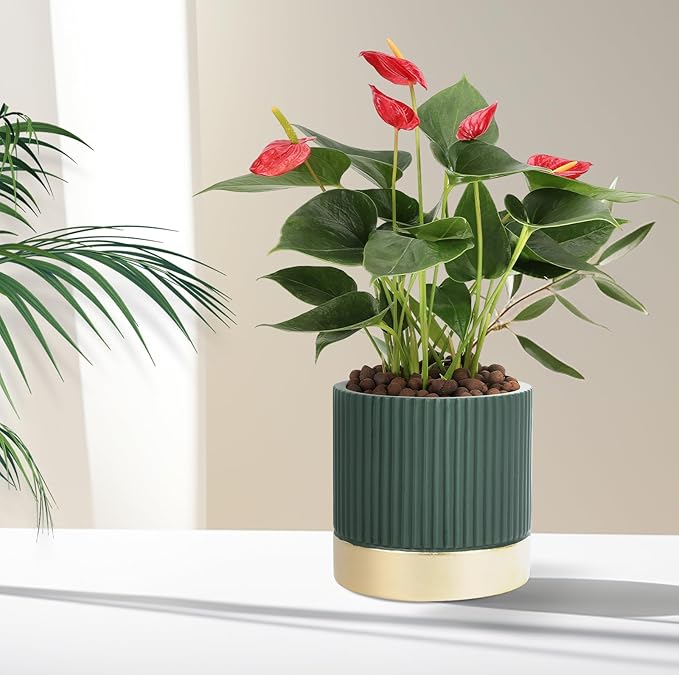 Set of 3 Cement Planter Pots with Drainage Hole,4 inch Plant Pots for Plants Indoor Houseplants,Succulent Pots Windowsil Planter (Green&Gold)
