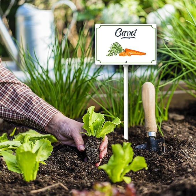 Boylee 8x12inch Aluminum Carrot Garden Signs With Stake For Vegetables, Herbs, Flowers & Potted Plants