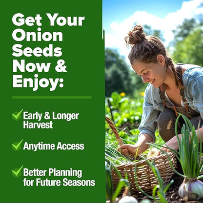 HOME GROWN 8 Onion Seeds for Planting 1,600 Heirloom Vegetable Seeds Grow Sweet, Yellow, Red, Spanish, Green & Vidalia Onions in Outdoor or Indoor Home Garden