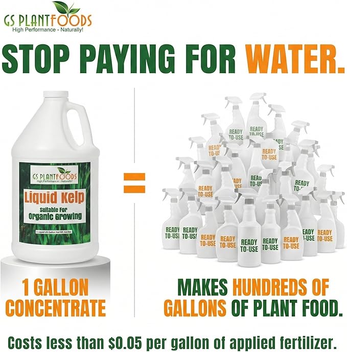 Organic Kelp Fertilizer by GS Plant Foods - Omri Certified (1 Quart) - Kelp Fertilizer for Gardens, Lawns & Soil