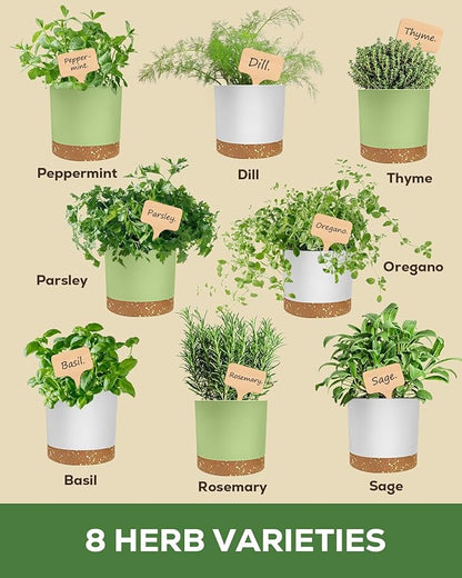 Indoor Herb Garden Kit with 8 Heirloom Seeds - Complete Windowsill Planter Starter Set, Unique Gardening Gift for Women Men, DIY Kitchen Herb Garden for Beginners, Plant Lovers, Mom, Friends