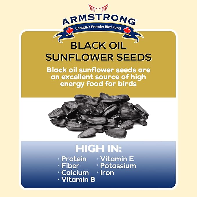 Armstrong Wild Bird Food Black Oil Sunflower Bird Seed, 3 Pounds - for Northern Cardinals, Blue Jays and Hairy Woodpeckers - Ideal for Outside Feeders