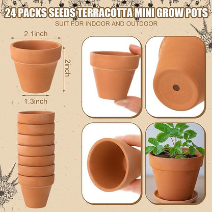 Baby Shower Party Favors Baby in Bloom Envelopes Seed Packets Include 24 Mini Terracotta Pots Seed Packets 24 Self Adhesive Envelopes Thank You Tags Gifts for Party(Kraft Paper)