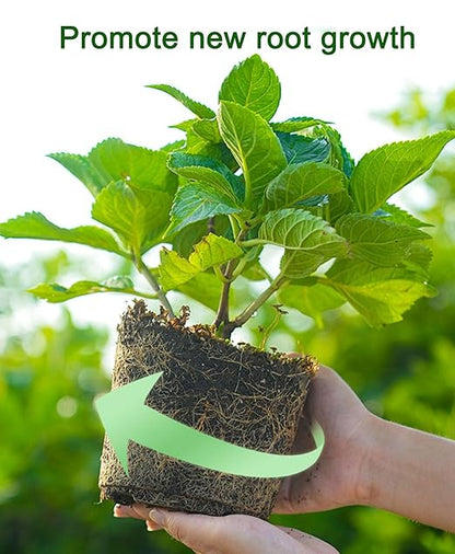 2.9LB Prilled Urea Fertilizer 46-0-0 Nitrogen Bloom Booster Plant Food for Indoor/Outdoor Plants and Flower Gardens - Fruit to Stimulate Growth and Deep Green Color