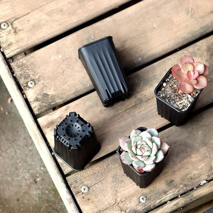 BangQiao 180 Pack 1.95 Inch Tiny Black Plastic Square Nursery and Seedling Pot, Mini Deep Transplant Seed Starter Planter with Drain Hole for Germination, Herb, Succulent