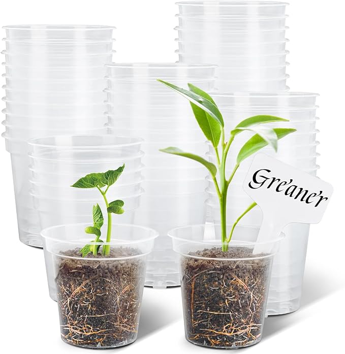 GREANER 60 Packs Clear Plant Nursery Pots, 3 Inch Plastic Pot with Drainage Holes, Reinforced Flower Seed Starter Pot for Indoors Outdoor Plants with 20 Plant Labels - Transparent