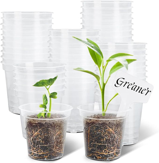 GREANER 60 Packs Clear Plant Nursery Pots, 3 Inch Plastic Pot with Drainage Holes, Reinforced Flower Seed Starter Pot for Indoors Outdoor Plants with 20 Plant Labels - Transparent