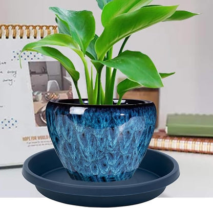 Plastic Plant Saucers 12 Inch Round Pack of 5 Heavy Duty Reusable Drip Trays for Flower Pots