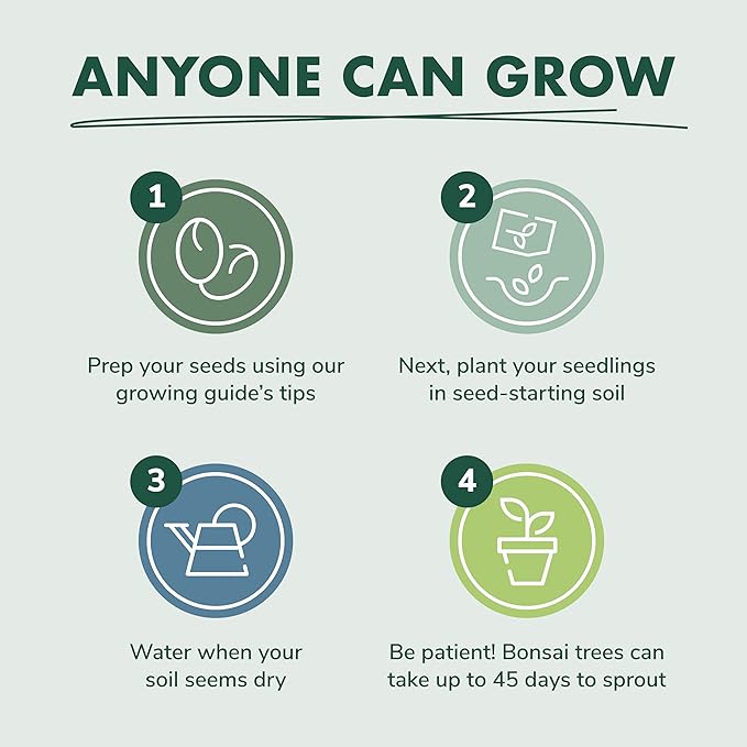 Bonsai Tree Seed Starter Kit - Mini Bonsai Plant Growing Kit, 3 Types of Seeds, Potting Soil, Pots, Pruning Shears Scissor Tool, Plant Markers, Wood Gift Box, Fathers Day Gardening Gifts Ideas