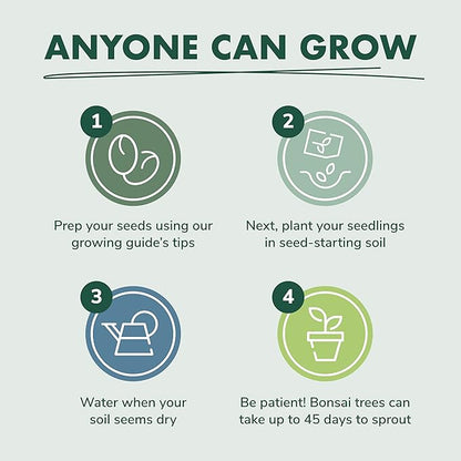 Bonsai Tree Seed Starter Kit - Mini Bonsai Plant Growing Kit, 3 Types of Seeds, Potting Soil, Pots, Pruning Shears Scissor Tool, Plant Markers, Wood Gift Box, Fathers Day Gardening Gifts Ideas