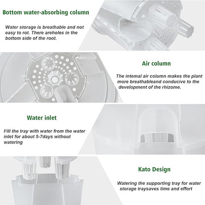 Cdd's Path Large Naked Root Planter Self Watering Pots Set with Holes for Indoor/Outdoor Plants, Planter Pot with Watering Hole/Reservior and Air Pipes (Clear, 8 inch-5 Pack)
