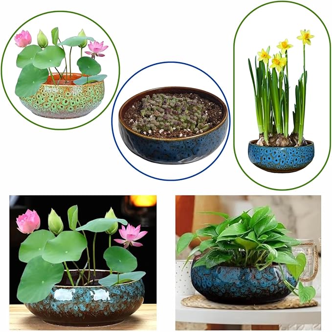 Ceramic Lotus Bowl Planter, Lotus Pots for Water Plants Indoor, Large Caliber Flow Glaze Non-Porous Hydroponic Container, Succulent Pots, Leak-Proof Design (Blue Peacock Pattern) 6.6in*2.7in