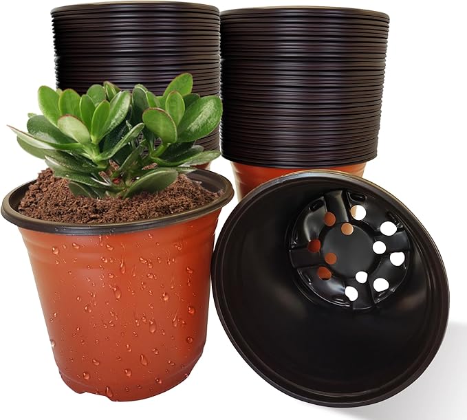 100 Packs 6" Plant Nursery Pots Plastic Seedling Starter pot Flower Planter Container Seed Grow Pot with Drainage Hole for Indoor Outdoor Garden Suitable for Succulent Seedling Cutting Transplanting