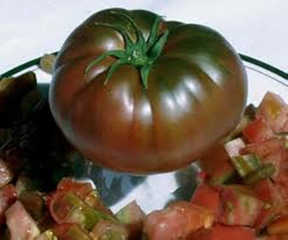 Seeds Tomato Black Prince Giant Heirloom Vegetable Non GMO