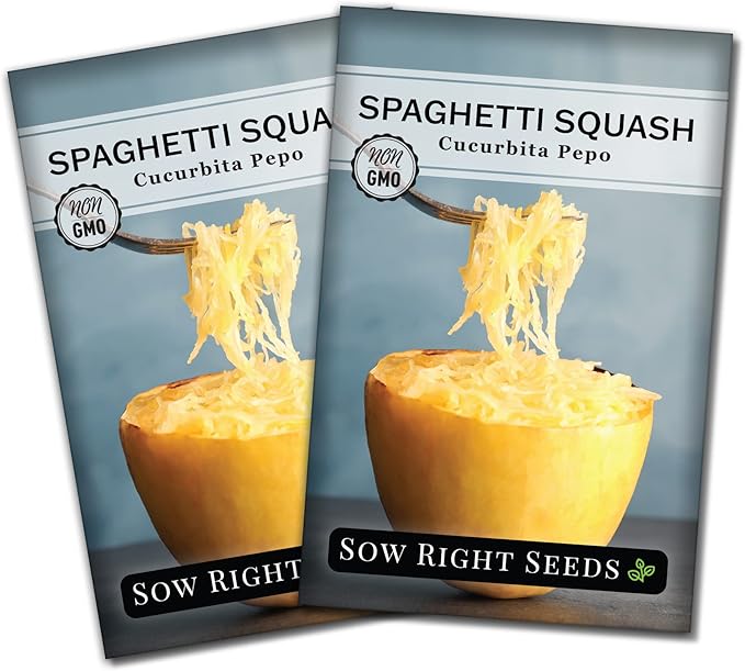 Sow Right Seeds - Spaghetti Squash Seeds for Planting - Non-GMO Heirloom Packet with Instructions to Plant and Grow an Outdoor Home Vegetable Garden - Roast and Enjoy Eating This Favorite Variety (2)