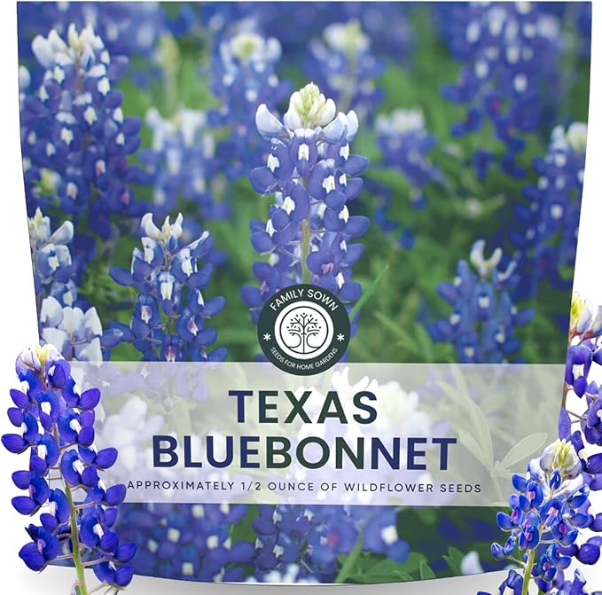 Texas Bluebonnet – 400 Seeds for Planting – 2026 Season – 0.5 Ounce Pouch