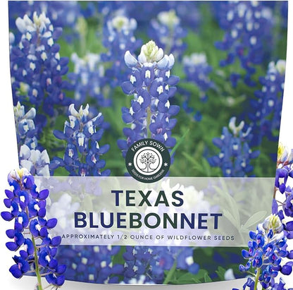 Texas Bluebonnet – 400 Seeds for Planting – 2026 Season – 0.5 Ounce Pouch