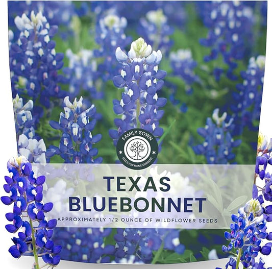 Texas Bluebonnet – 400 Seeds for Planting – 2026 Season – 0.5 Ounce Pouch