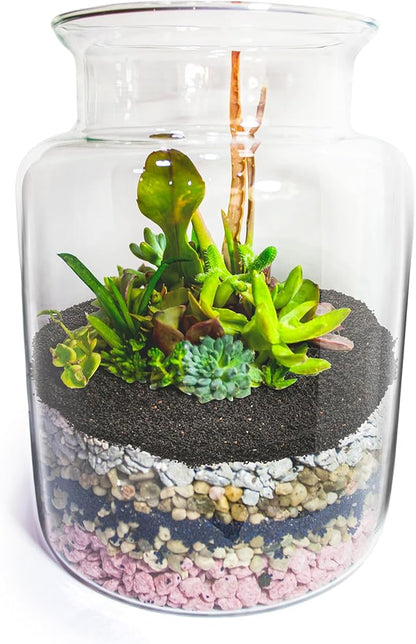 TOPZEA 12 LB Black Lava Rocks Sand for Plants, Potting Soil Decorative Landscaping Gritty Pumice, Crushed Volcanic Stone Gravel for Bonsai Succulent Cactus, Top Dressing, Vase Filler, Fairy Gardening