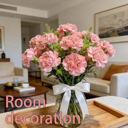 Carnation Seeds for Planting Outdoor Indoor, 1600 Dianthus Caryophyllus Seeds Annual Flowers, Fragrant Cut-Flower Mix