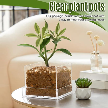 Clear Plant Nursery Pots Acrylic Orchid Pots with Drainage Holes and Tray Transparent Planter for Indoor Plants, Succulents, Herb, Flowers and Cactus Decorative(8 Inches,Square)