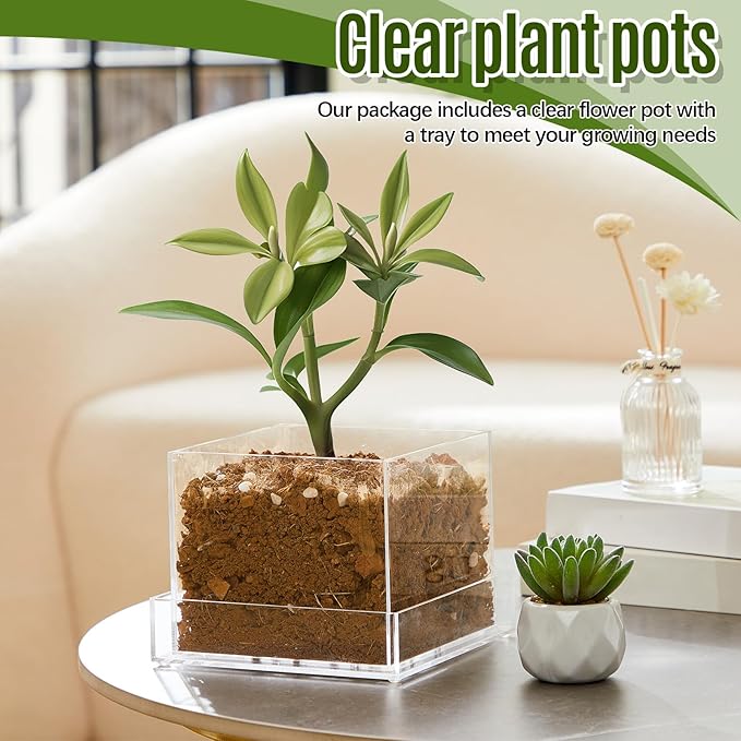Clear Plant Nursery Pots Acrylic Orchid Pots with Drainage Holes and Tray Transparent Planter for Indoor Plants, Succulents, Herb, Flowers and Cactus Decorative(6 Inches,Square)
