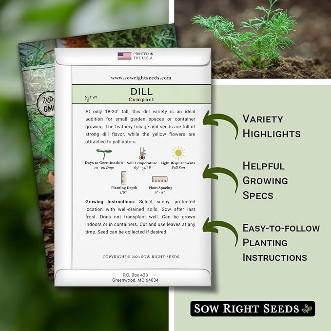 Sow Right Seeds - Compact Dill Seeds for Planting - Non-GMO Heirloom Packet with Instructions to Grow an Outdoor or Indoor Herb Garden - Great for Pickling - The Perfect Patio & Container Size (2)