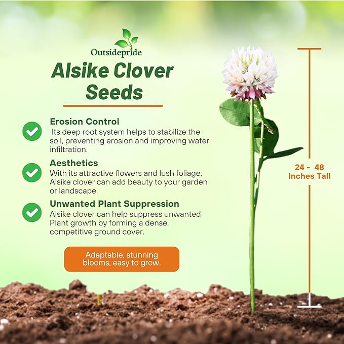 Outsidepride Biennial Alsike Clover Seeds for Lawn - 50 lbs. Nutrient-Rich, Drought Resistant Cover Crop Seeds, Ideal For Ground Cover, High-Yield Forage, Hay, Pastures, Food Plots & Grazing Livestock