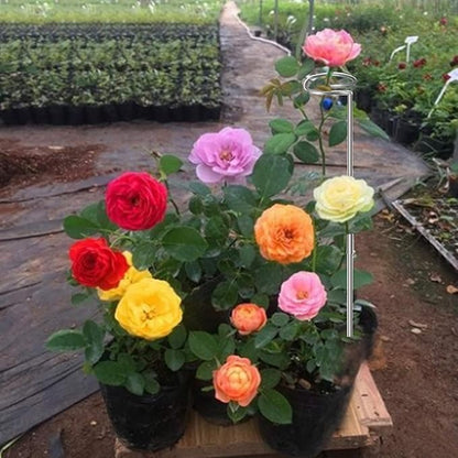 30 Inch Or 16 InchPlant Stakes for Flowers - 5 Pack (DIY), Stainless Steel Garden Tall Single Stem Support Stake Plant Cage Support Rings with Adjustable Height Fit Flowers, Plant Stable
