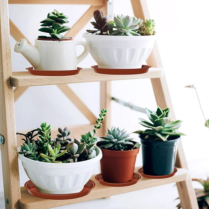 6 Pack of Plant Saucer 10 Inch, 10 inch Plant Saucer Round, Plastic Flower Plant Trays for Pots, Plant Saucers for Indoors 9", Plant Pot Saucers, Planter Tray for Planter 8-10" (10", Terracotta)